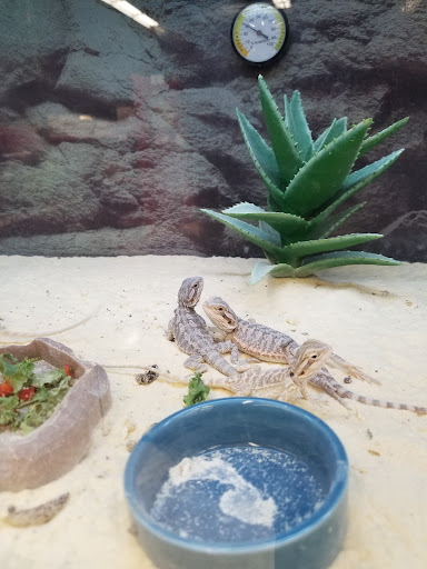 Pet Supply Store «Petco Animal Supplies», reviews and photos, 1624 Governors Square Blvd, Tallahassee, FL 32301, USA