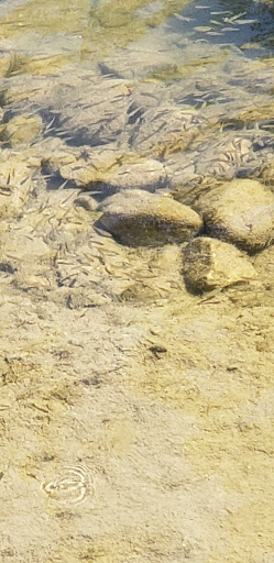 Nature Preserve «Thistlethwaite Falls», reviews and photos, 65 Waterfall Rd, Richmond, IN 47374, USA