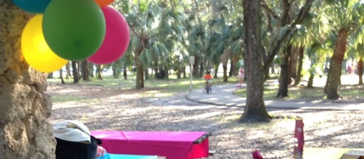 Park «Kendall Indian Hammocks Park», reviews and photos, 11395 SW 79th St, Miami, FL 33173, USA