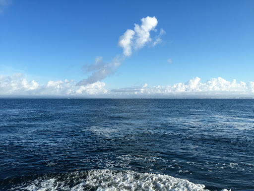 Fishing Charter «Dorothy B. Fishing Party Boat», reviews and photos, Simon Lake Dr, Atlantic Highlands, NJ 07716, USA