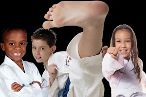 Robinson's Taekwondo image