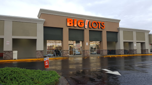 Big Lots, 580 Atlanta Rd #210, Cumming, GA 30040, USA, 