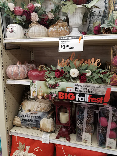 Discount Store «Big Lots», reviews and photos, 3621 N Josey Ln, Carrollton, TX 75007, USA