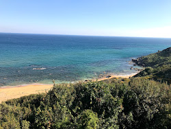 Fotografie cu Curmo beach - locul popular printre cunoscătorii de relaxare