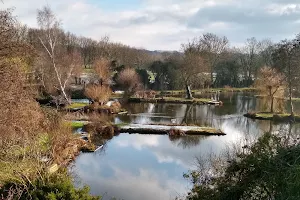 Verulam Angling Club (HQ) image