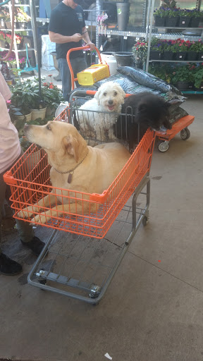 Home Improvement Store «The Home Depot», reviews and photos, 1722 NJ-88, Brick, NJ 08724, USA