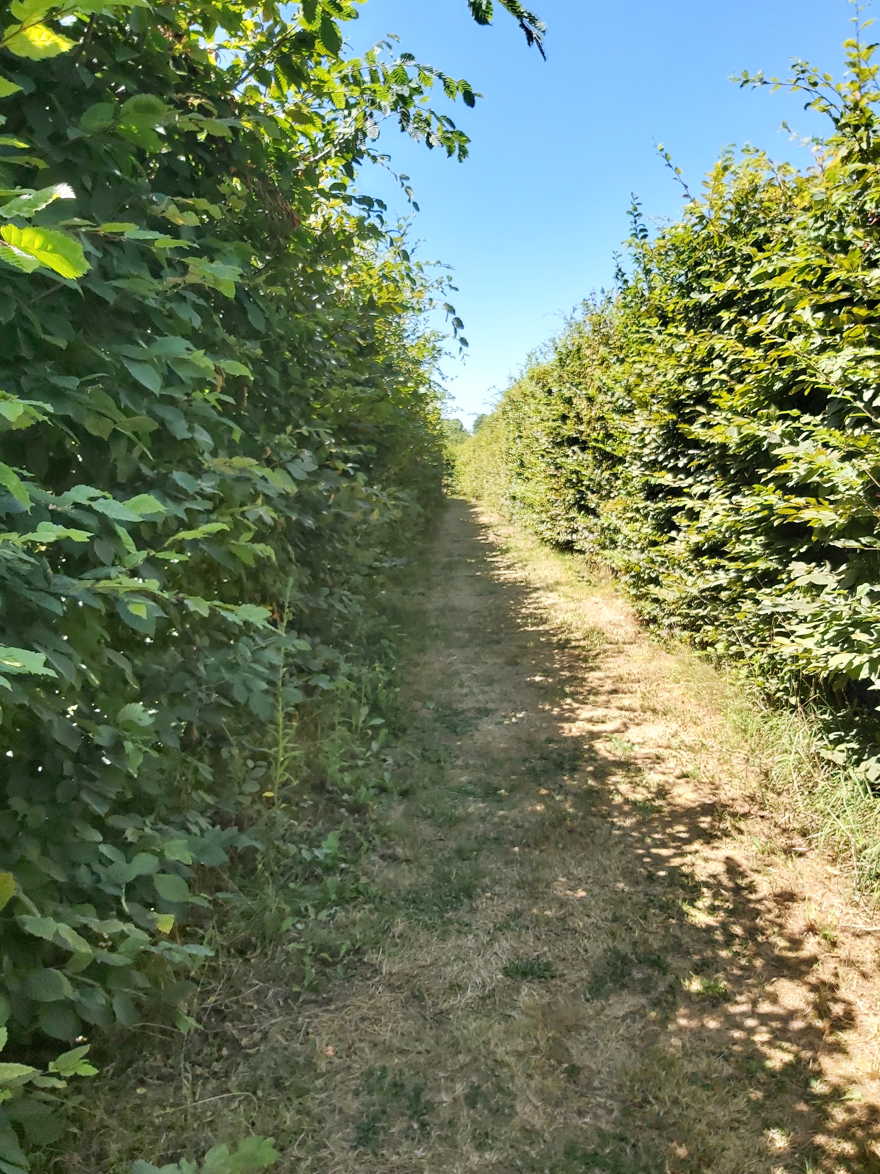 Photo n° 2 de l'avis de Guigeek_22. fait le 25/07/2020 à 21:01