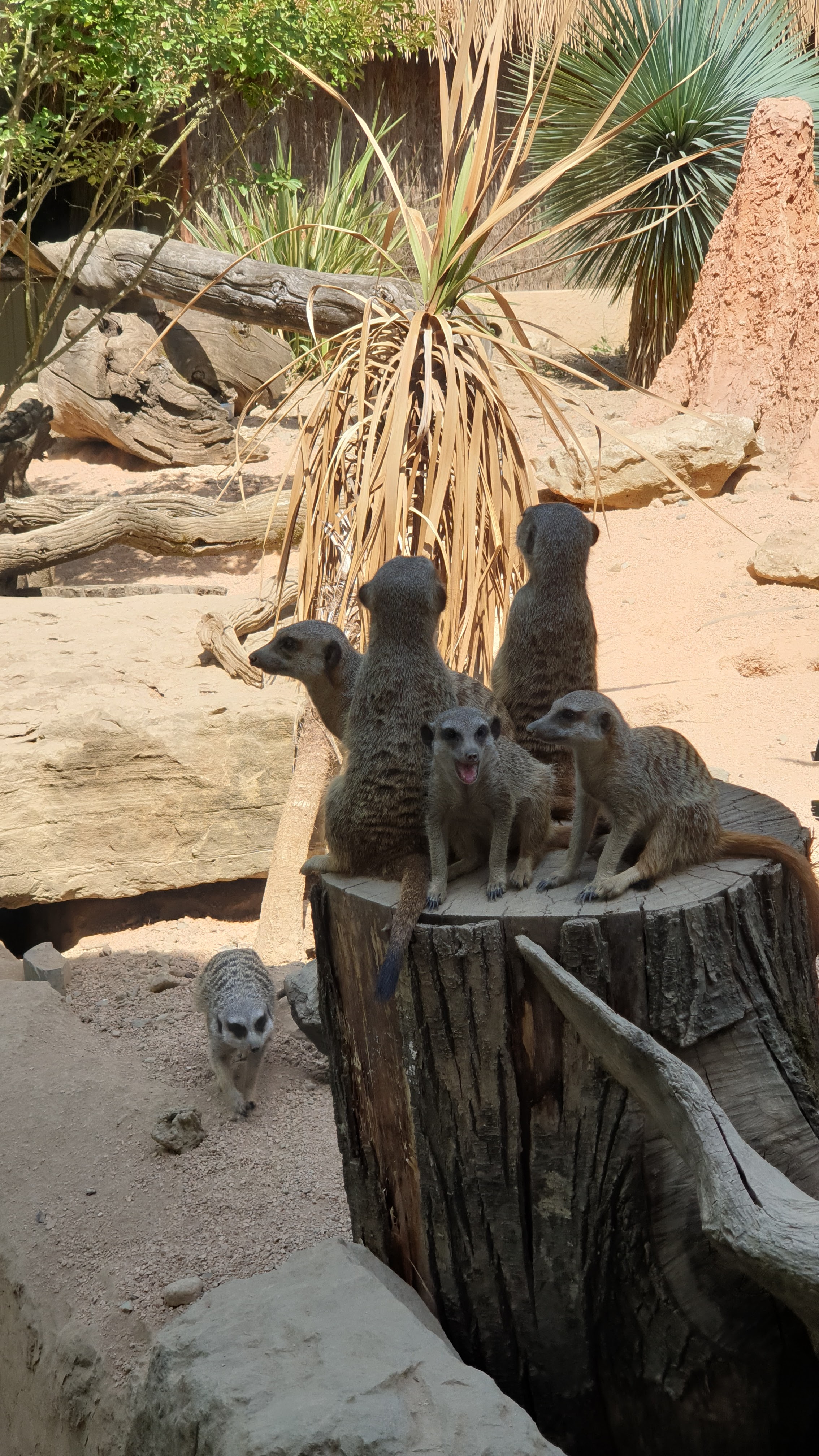 Photo n° 3 de l'avis de frédéric.e fait le 21/07/2022 à 14:28