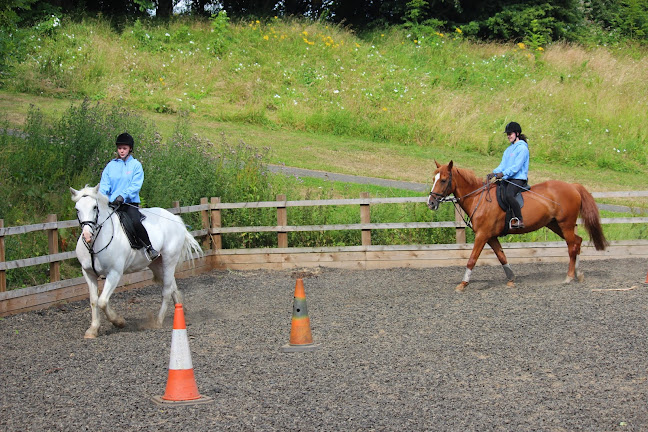 Reviews of Stepney Bank Stables in Newcastle upon Tyne - School