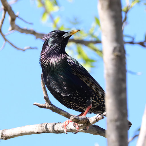 State Park «Lyndon B. Johnson State Park & Historic Site», reviews and photos, 199 Park Road 52, Stonewall, TX 78671, USA