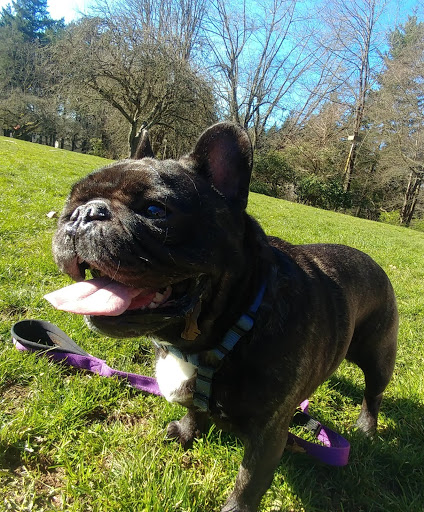 Park «Creston Park», reviews and photos, SE 44th Ave & Powell Blvd, Portland, OR 97206, USA