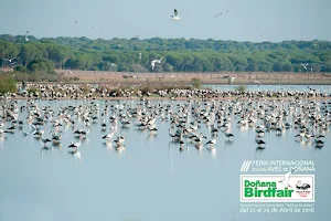 Doñana Birdfair image