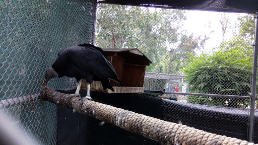 Zoológico Villa Fantasía