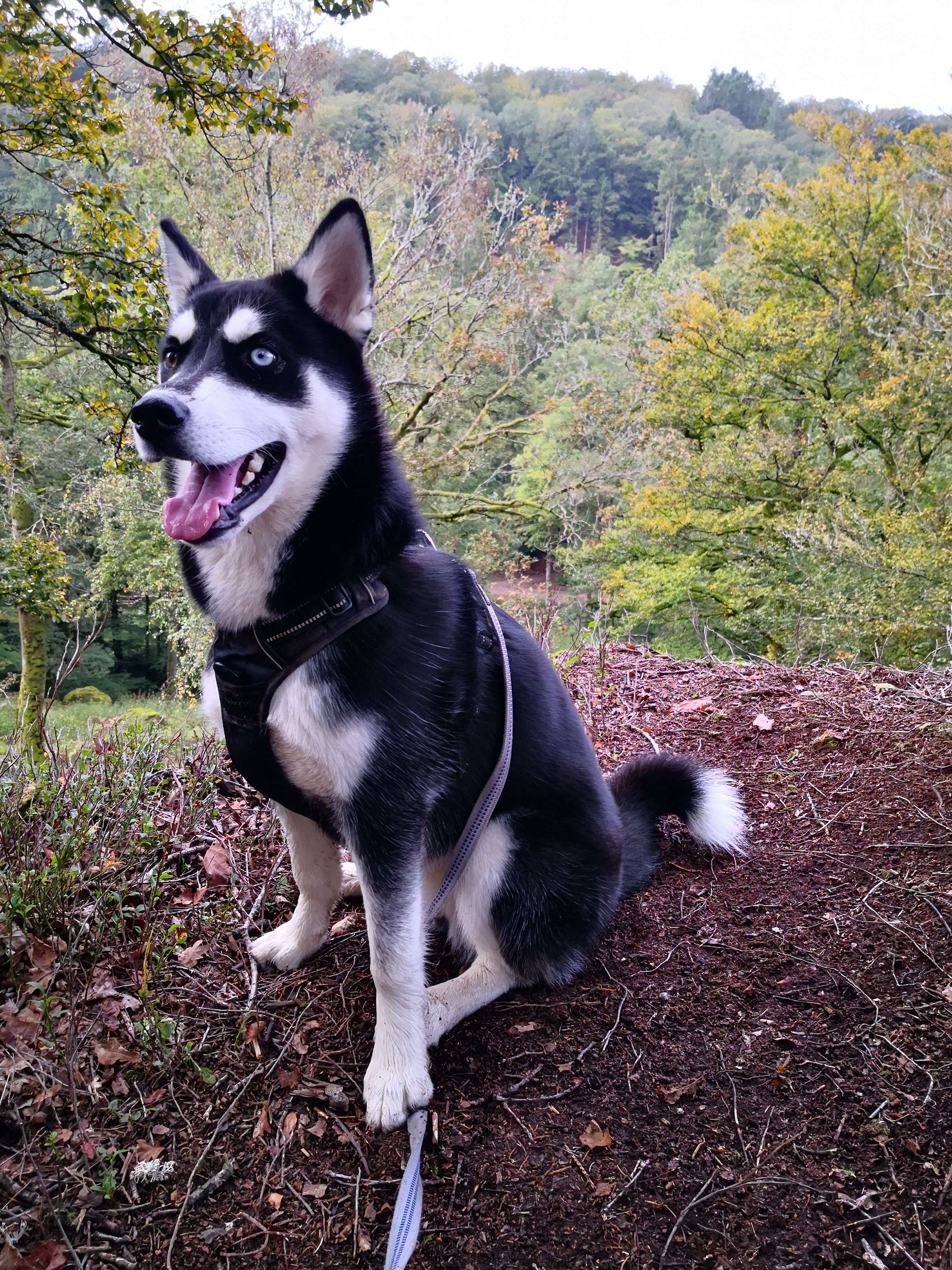 Photo n° 1 de l'avis de Thomas.u fait le 11/10/2021 à 11:55