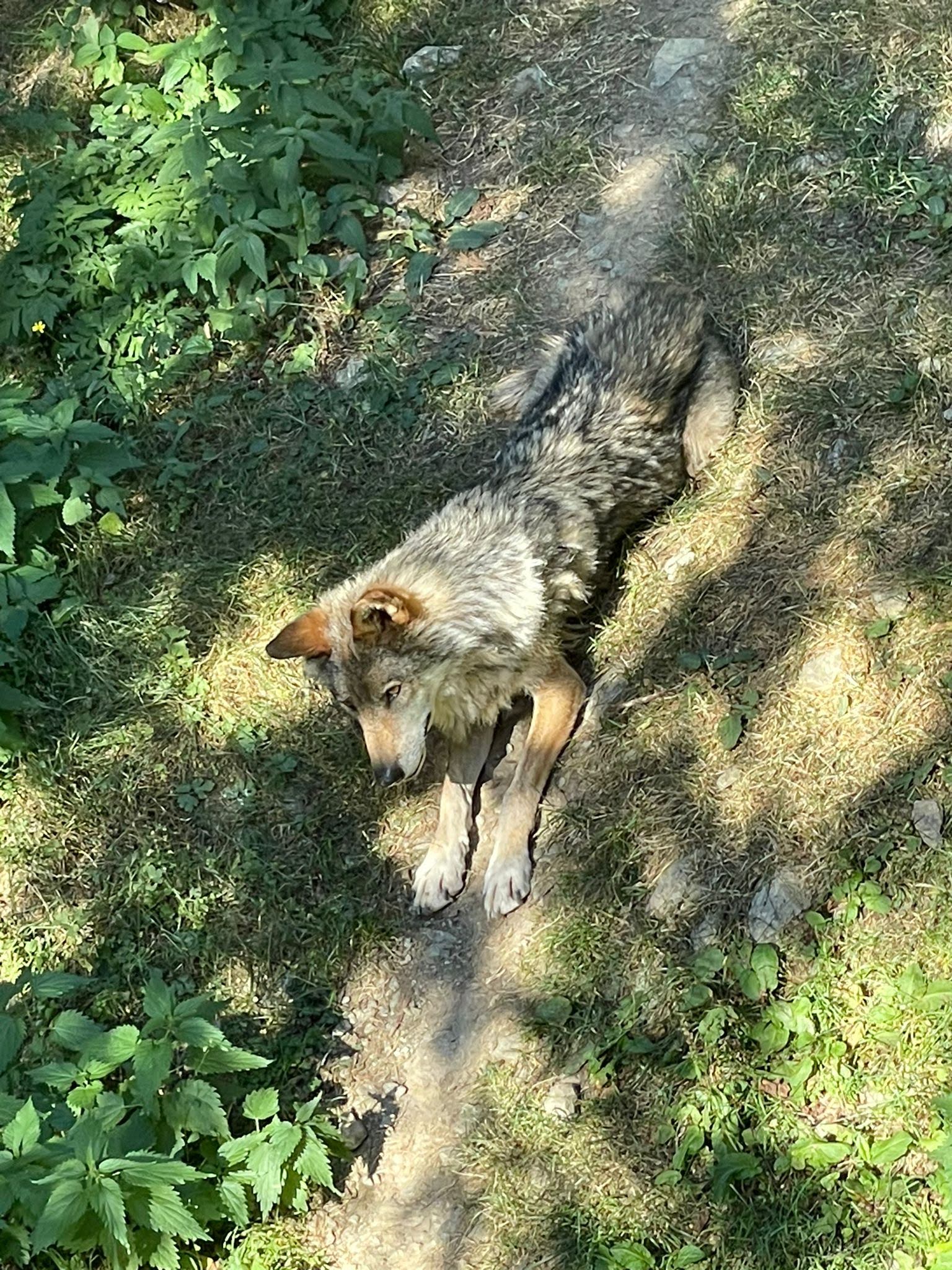 Photo n° 5 de l'avis de Dominique.a fait le 31/08/2023 à 12:38