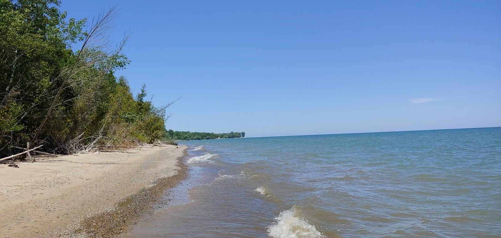 Foto di White Rock Roadside Beach con una superficie del sabbia beige
