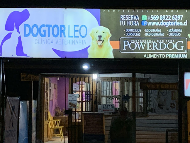 Dogtor Leo - Clinica Veterinaria - Pirque