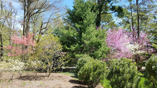 Museum «Princeton University Art Museum», reviews and photos, Elm Dr, Princeton, NJ 08544, USA