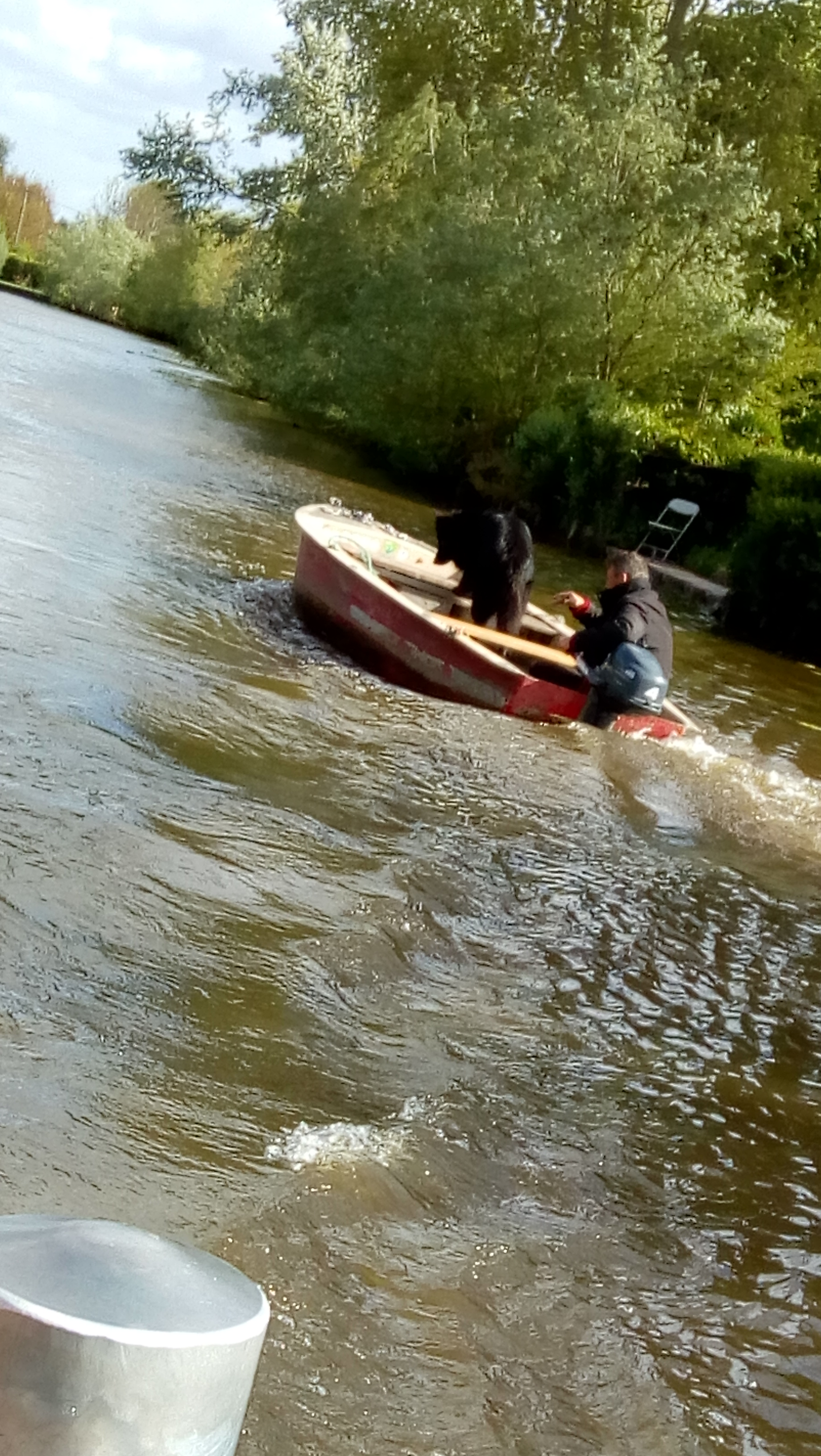 Photo n° 7 de l'avis de Mano.a fait le 04/05/2019 à 20:02