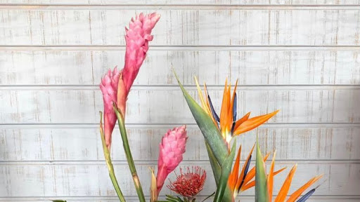 Florist «Broad Brook Gardens», reviews and photos, 938 Sullivan Ave, South Windsor, CT 06074, USA