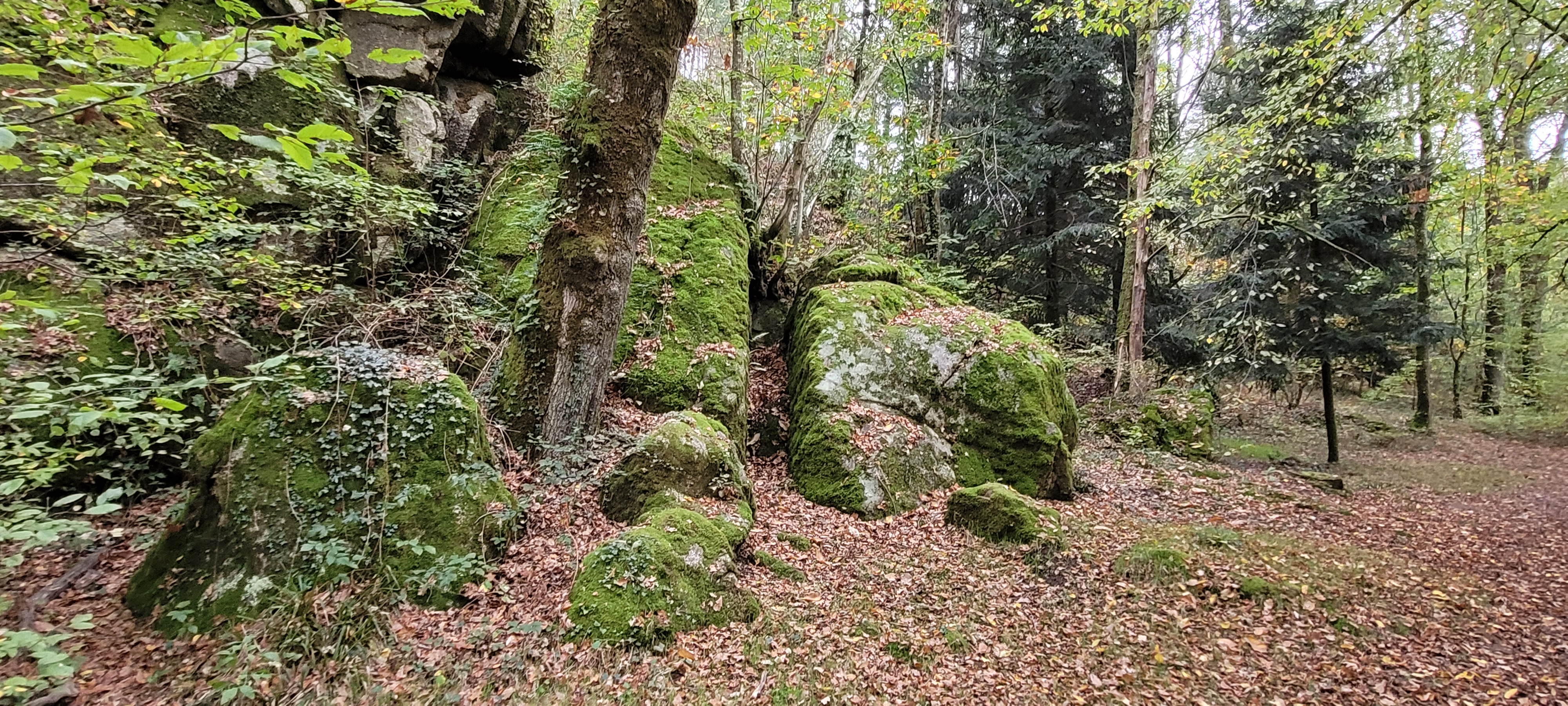 Photo n° 41 de l'avis de Christian.a fait le 30/10/2022 à 11:08
