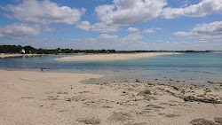 Plage du Le Letty'in fotoğrafı vahşi alan