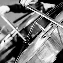 Private Cello Lessons Miami Beach - String Power - Photo 7 - Car repair in , Miami