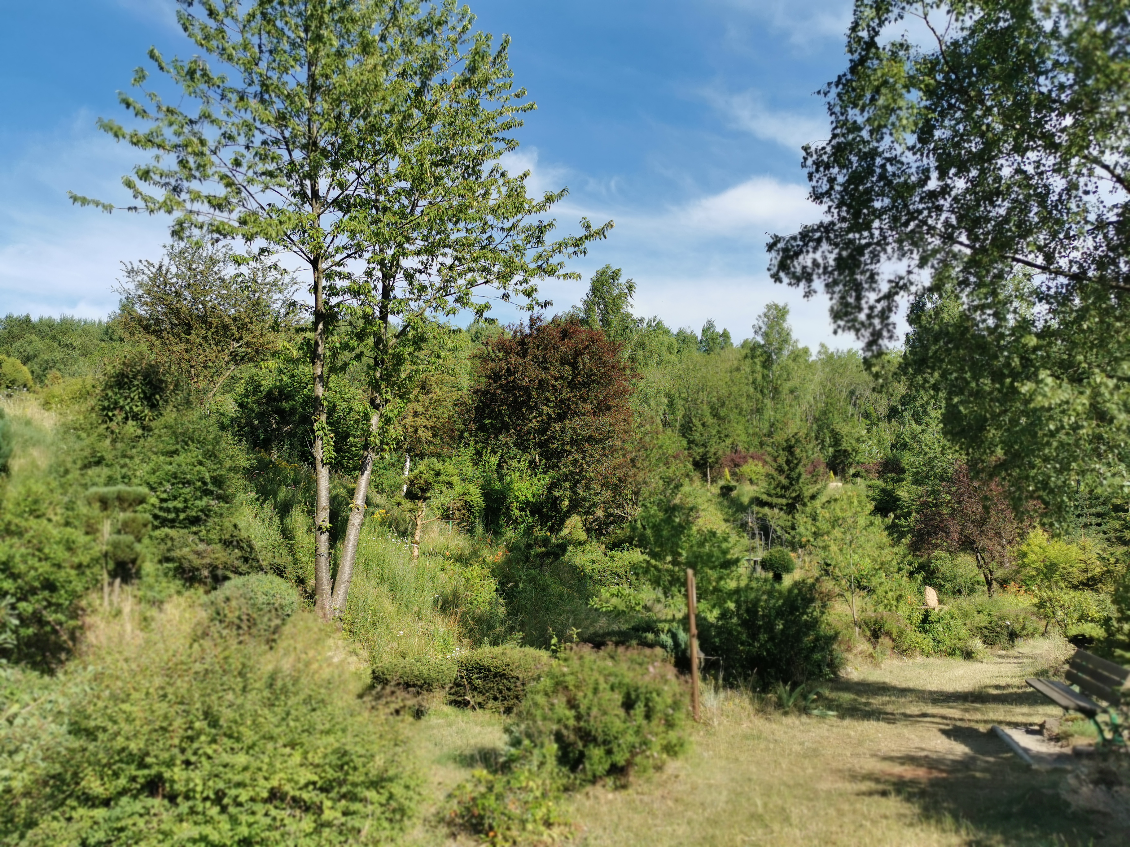 Photo n° 33 de l'avis de Phidis.a fait le 03/07/2019 à 17:43