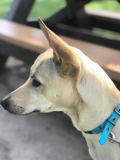 Pet Supply Store «PetSmart», reviews and photos, 2391 NJ-66, Ocean Township, NJ 07712, USA