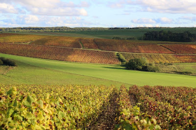 Vignerons les Riceys à Les Riceys