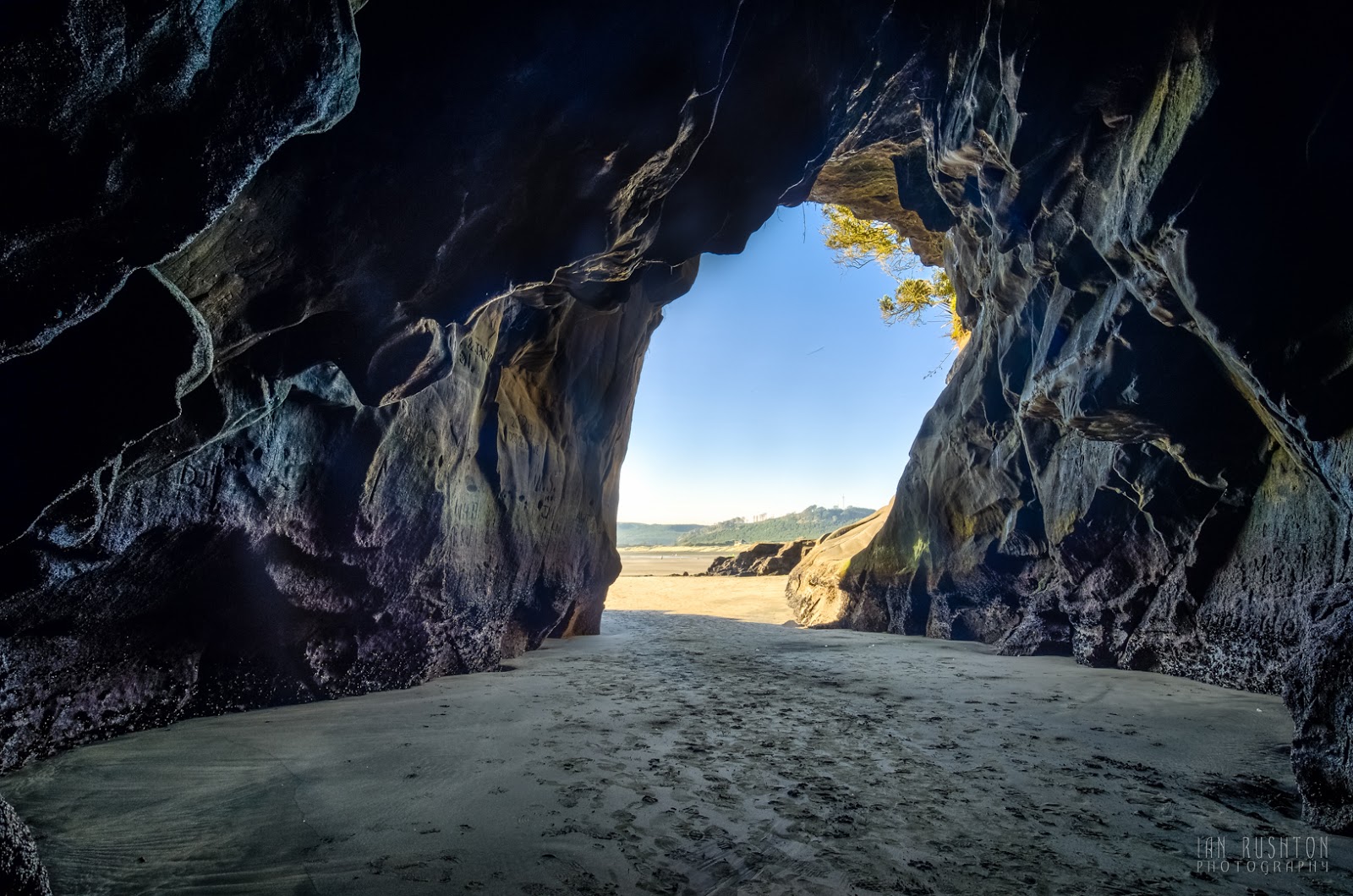 Foto av Muriwai Beach beläget i naturområde