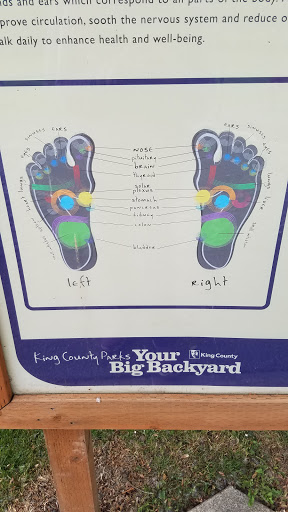 Park «132nd Square Park», reviews and photos, 13159 132nd Ave NE, Kirkland, WA 98034, USA