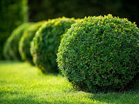 KB Premium Landscaping Services, Inc. - Photo 2 - Car repair in , Milwaukee