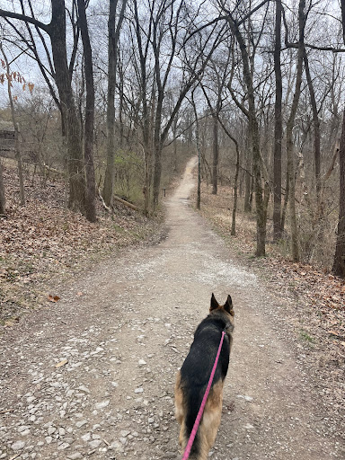 Hawk Ridge Trail