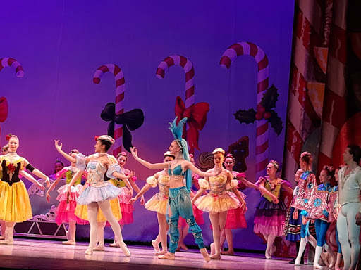 Performing Arts Theater «BARDAVON», reviews and photos, 35 Market St, Poughkeepsie, NY 12601, USA