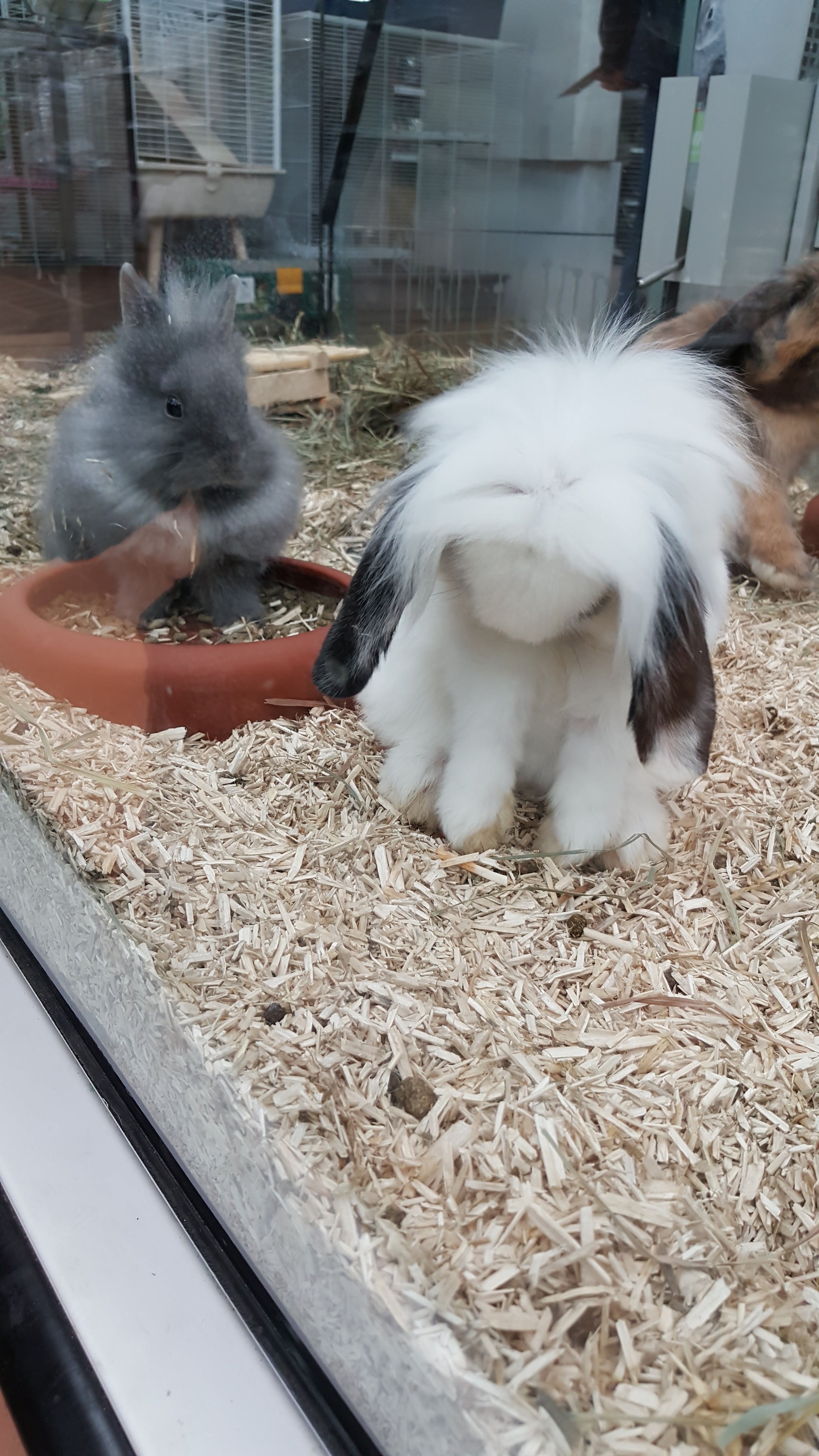Photo n° 2 de l'avis de Annick.o fait le 16/04/2018 à 11:04