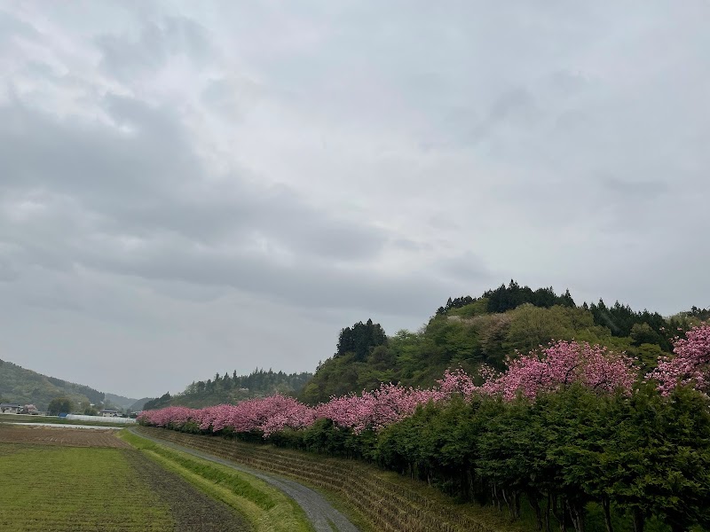 泉沢河川公園