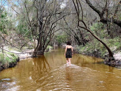 Community Park «Summerfield Community Park», reviews and photos, 6402 Lakewood Ranch Blvd, Bradenton, FL 34202, USA