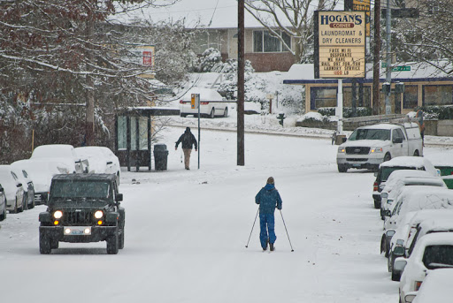 Park «Ravenna Park», reviews and photos, 5520 Ravenna Ave NE, Seattle, WA 98105, USA