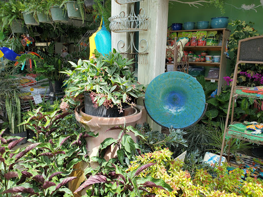 Produce Market «Nelson Family Farms», reviews and photos, 875 W Midway Rd, Fort Pierce, FL 34982, USA