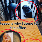 Photo n°1 de l'avis de Anett.t fait le 09/02/2024 à 06:51 sur le  Cafetaria Mesa 325 à Porto