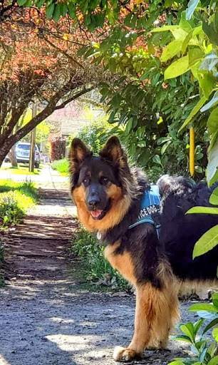 Supermarket «Walmart Neighborhood Market», reviews and photos, 15600 SE McLoughlin Blvd, Milwaukie, OR 97267, USA