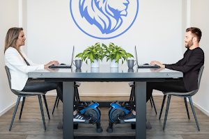 Blue Lion Lifestyle image