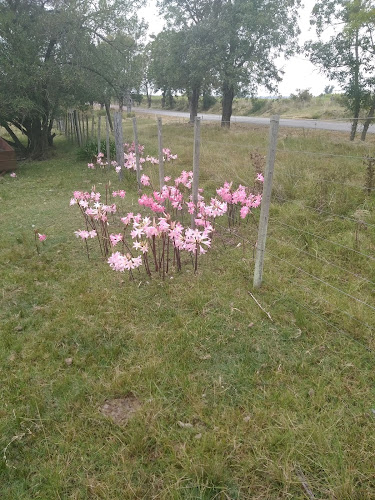 Las Calandrias - Canelones