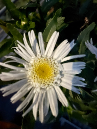 Home Improvement Store «The Home Depot», reviews and photos, 899 County St, Taunton, MA 02780, USA