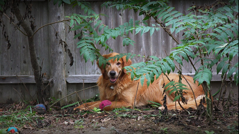 900 Broadway, Raynham, MA 02767, USA