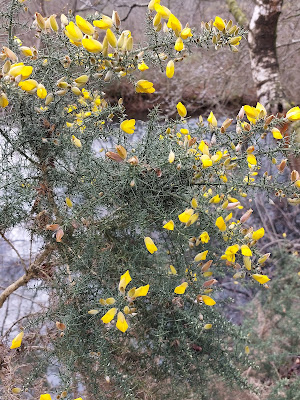 Réserve naturelle régionale du plateau des landes à Heuringhem