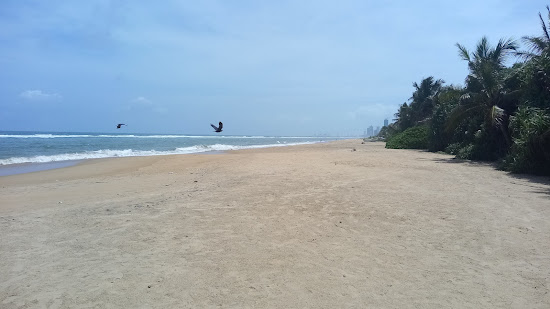 Dehiwala Beach