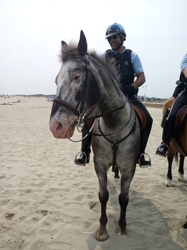 National Park «Jacob Riis Park (Gateway National Recreation Area)», reviews and photos, Rockaway Beach Blvd, Rockaway Park, NY 11694, USA