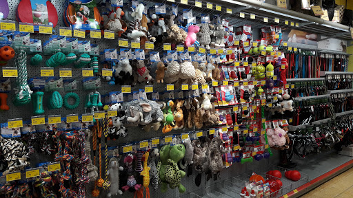 DAS FUTTERHAUS - Tübingen unter Tübingen, 